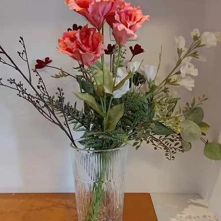 Apartment Dorp&duin Egmond aan Zee